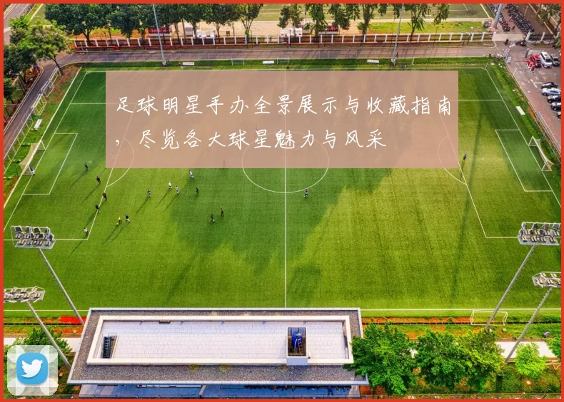 足球明星手办全景展示与收藏指南，尽览各大球星魅力与风采