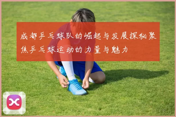 成都乒乓球队的崛起与发展探秘聚焦乒乓球运动的力量与魅力