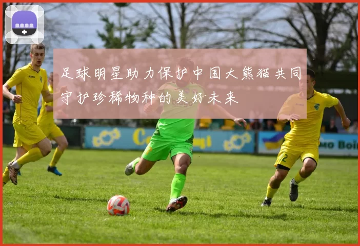 足球明星助力保护中国大熊猫共同守护珍稀物种的美好未来