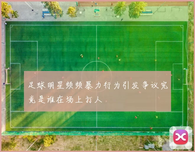 足球明星频频暴力行为引发争议究竟是谁在场上打人