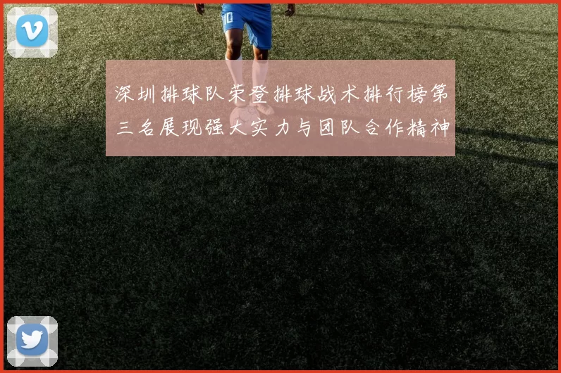 深圳排球队荣登排球战术排行榜第三名展现强大实力与团队合作精神