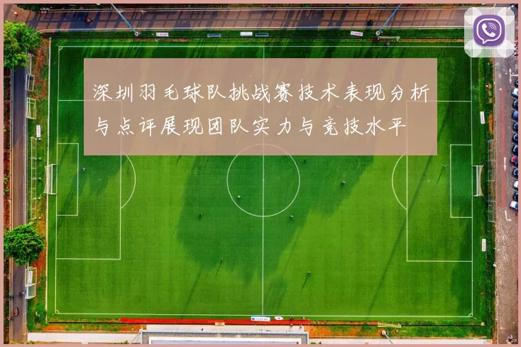 深圳羽毛球队挑战赛技术表现分析与点评展现团队实力与竞技水平