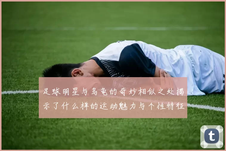 足球明星与乌龟的奇妙相似之处揭示了什么样的运动魅力与个性特征