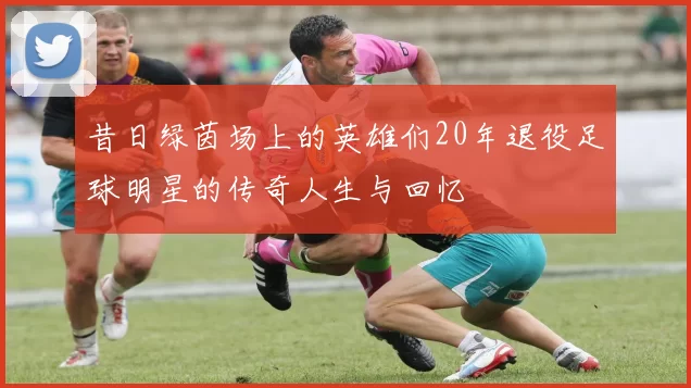 昔日绿茵场上的英雄们20年退役足球明星的传奇人生与回忆