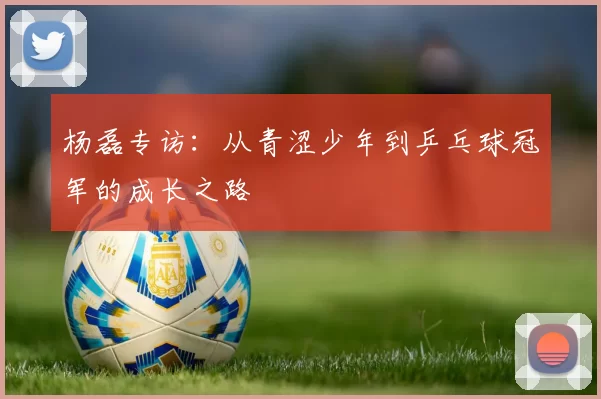 杨磊专访：从青涩少年到乒乓球冠军的成长之路