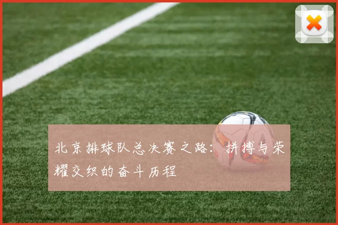 北京排球队总决赛之路：拼搏与荣耀交织的奋斗历程