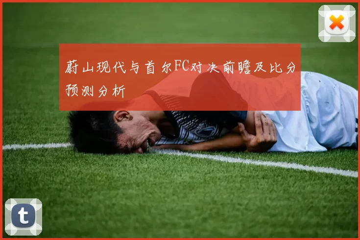 蔚山现代与首尔FC对决前瞻及比分预测分析