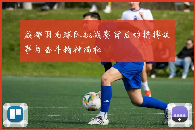 成都羽毛球队挑战赛背后的拼搏故事与奋斗精神揭秘
