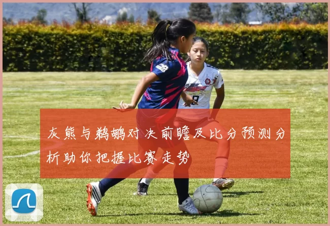 灰熊与鹈鹕对决前瞻及比分预测分析助你把握比赛走势