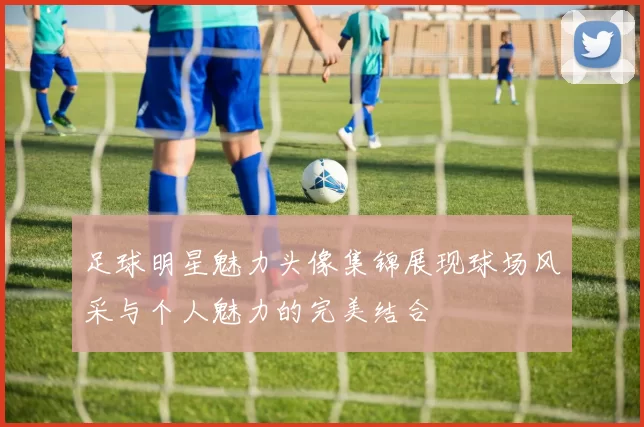 足球明星魅力头像集锦展现球场风采与个人魅力的完美结合